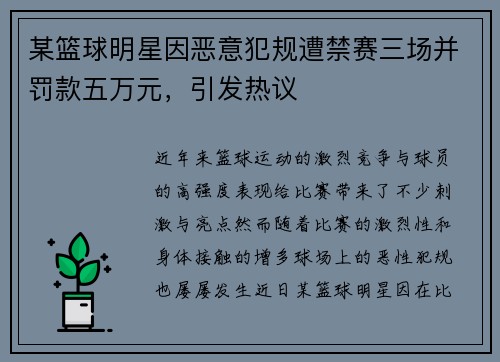 某篮球明星因恶意犯规遭禁赛三场并罚款五万元，引发热议