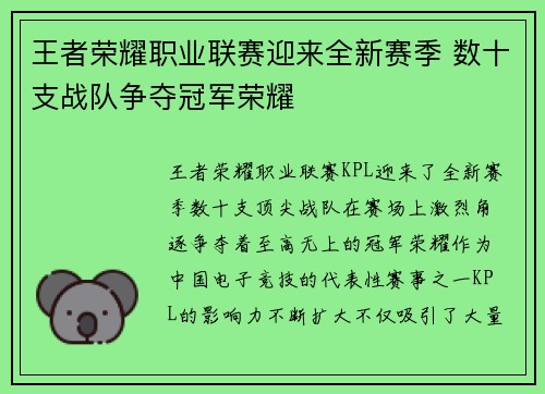王者荣耀职业联赛迎来全新赛季 数十支战队争夺冠军荣耀